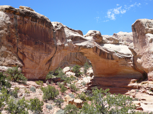 Capitol Reef NP
