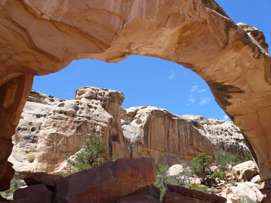 Capitol Reef NP
