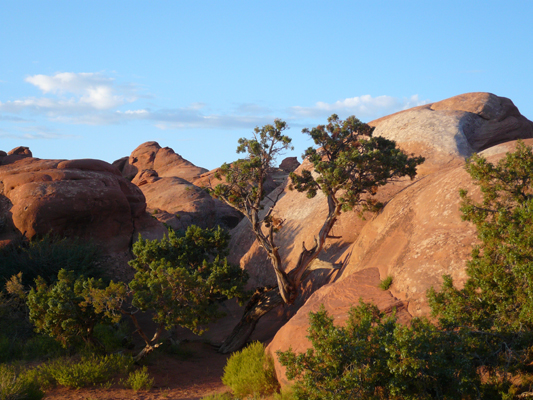 Arches NP
