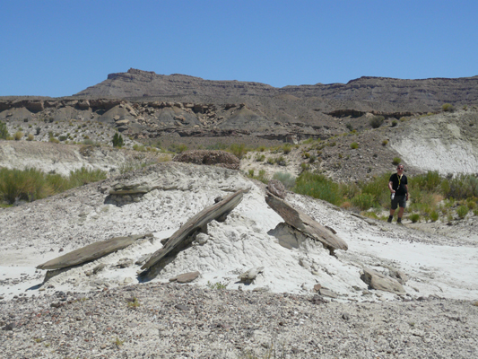 Valley of the White Ghosts
