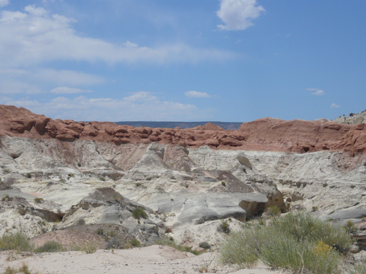 Amerika_2008_563.jpg