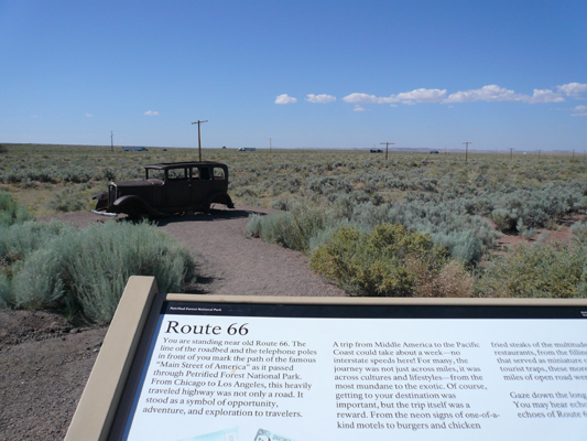 Petrified Forest
