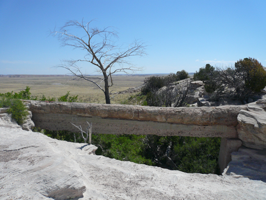 Agate Bridge, Petrified Forest NP
