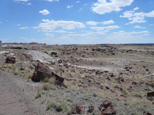 Amerika_2008_614.jpg