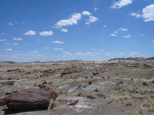 Amerika_2008_615.jpg