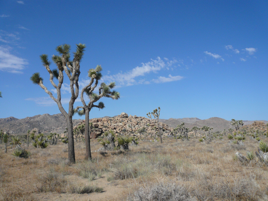 Amerika_2008_774.JPG