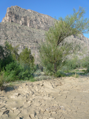 Big Bend
