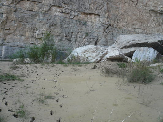 Big Bend
