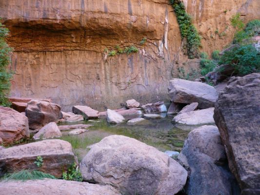 Zion NP (The Narrows)
