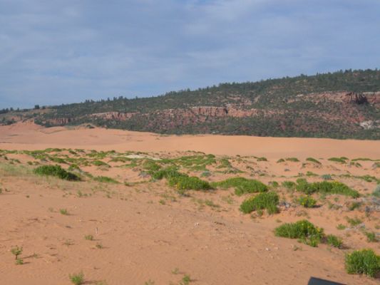 Sand Dune SP
