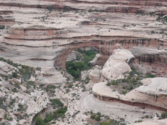 Natural Bridges NM
