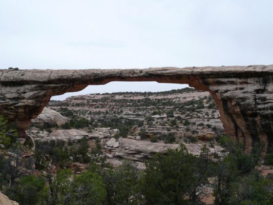 Natural Bridges NM
