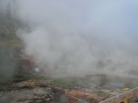 Norris Geyser Basin, Yellowstone NP
