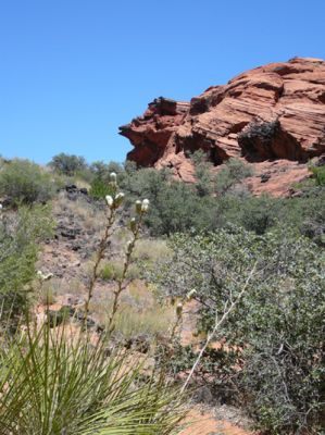 Snow Canyon SP

