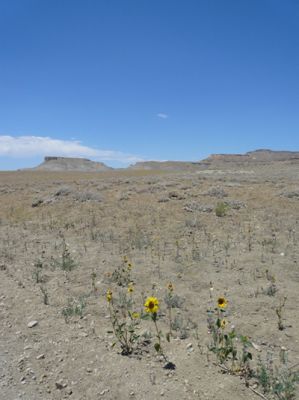 Amerika_2008_556.jpg