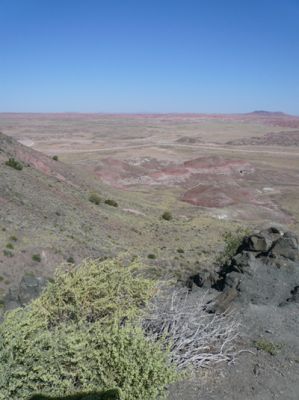 Amerika_2008_603.jpg