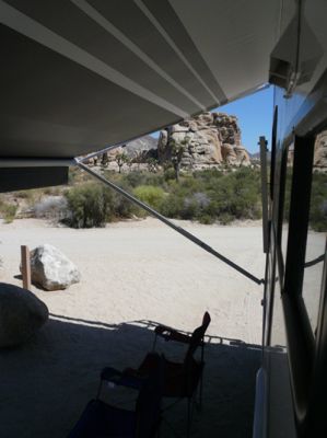 Joshua Tree NP
