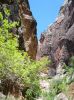 Zion NP