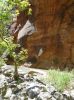 Zion NP - The Narrows