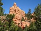 Red Canyon