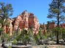 Red Canyon
