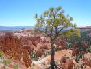 Bryce Canyon NP