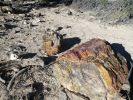 Escalante SP