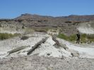 Valley of the White Ghosts