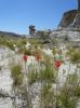 Valley of the White Ghosts