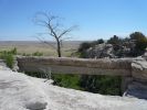 Agate Bridge, Petrified Forest NP