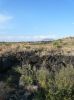 Valley of fires, nm