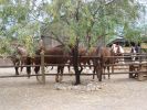 Old Tucson Studios