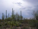 Amerika_2008_730.jpg
