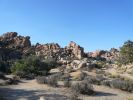 Joshua Tree NP