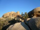 Joshua Tree NP