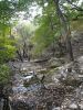 Guadalupe Mtn NP