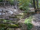 Guadalupe Mtn NP