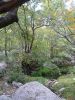 Guadalupe Mtn NP