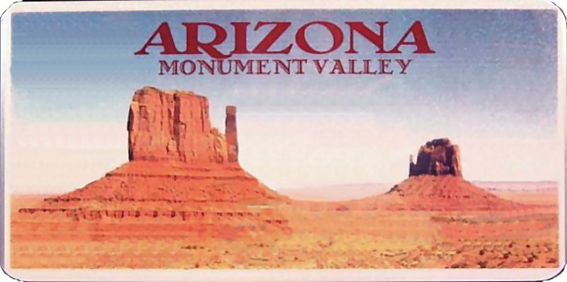 Arizona License Plate
