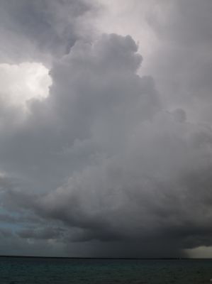 P7207547.jpg