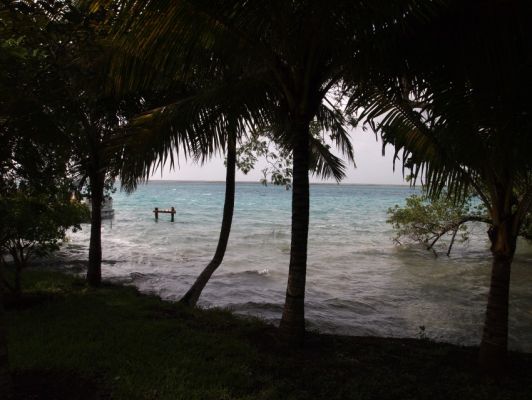 P7217622.jpg