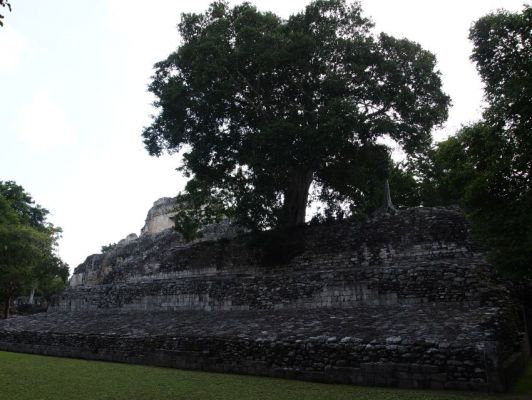 P7227931.jpg