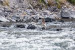IMG_5842.jpg
