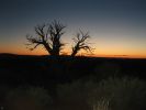 Abendstimmung im Arches NP