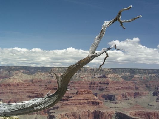 008 - Grand Canyon - 0081a.jpg